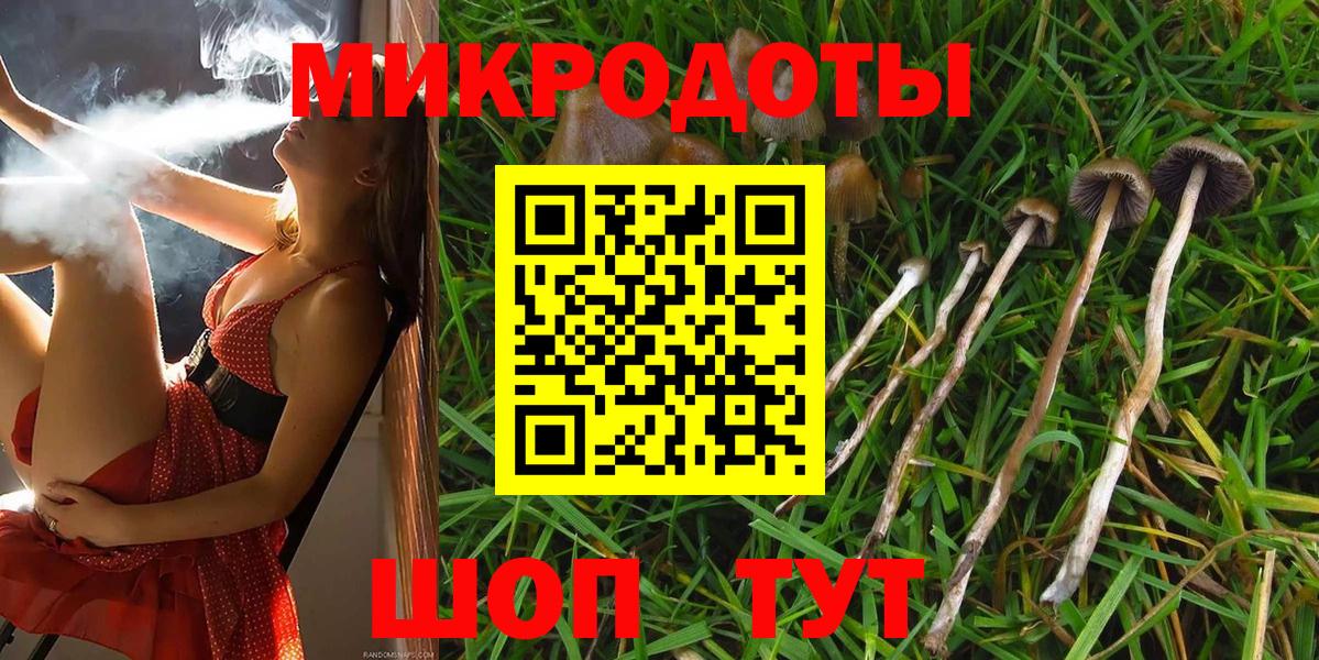 Красноярск  Псилоцибиновые грибы MAGIC MUSHROOMS  Вход с VPN 
